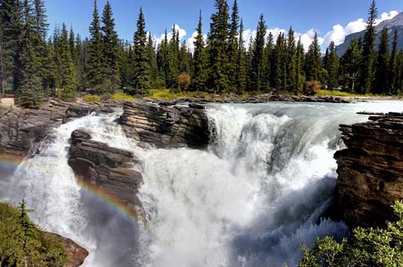Athabasca Falls