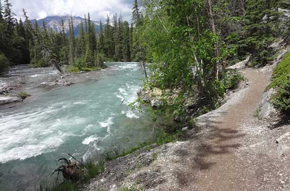 Maligne Canyon Hike